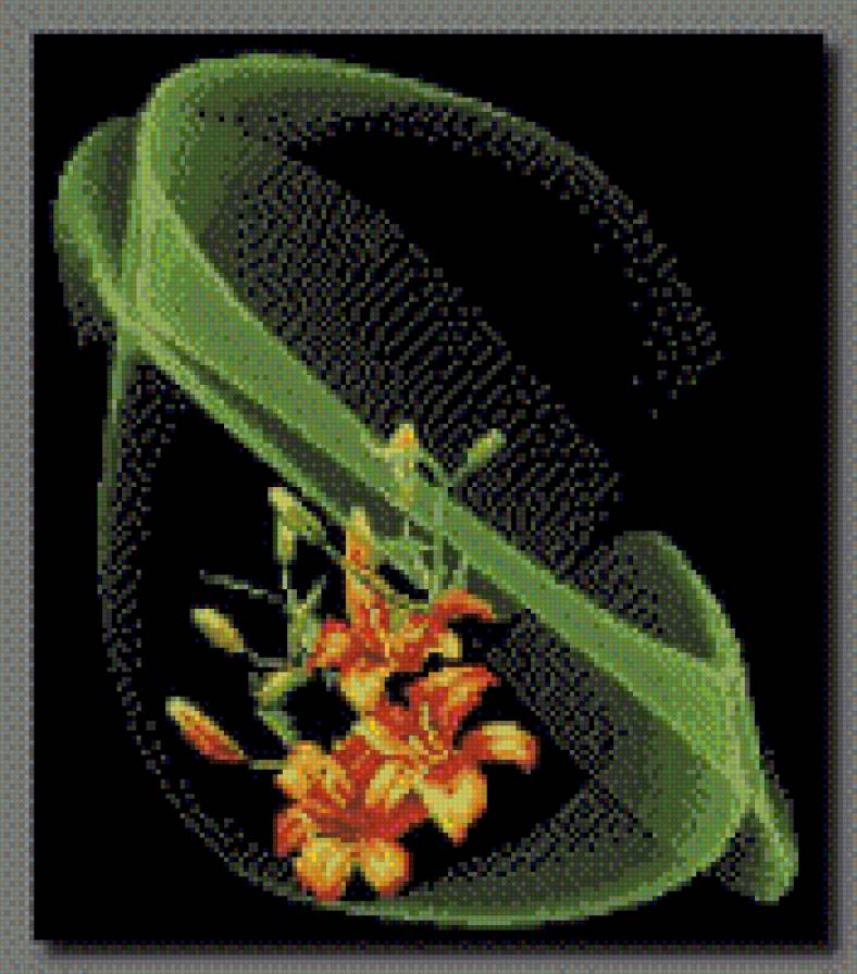 лилии - лилии. цветы - предпросмотр