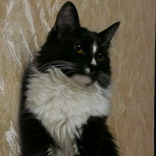 Оригинал схемы вышивки «Кузя» (№850104)