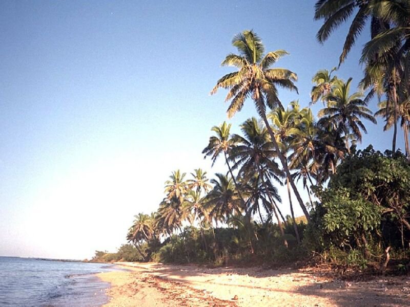 Пейзаж 19 - пейзаж, природа, пальми, море, літо, пляж - оригинал