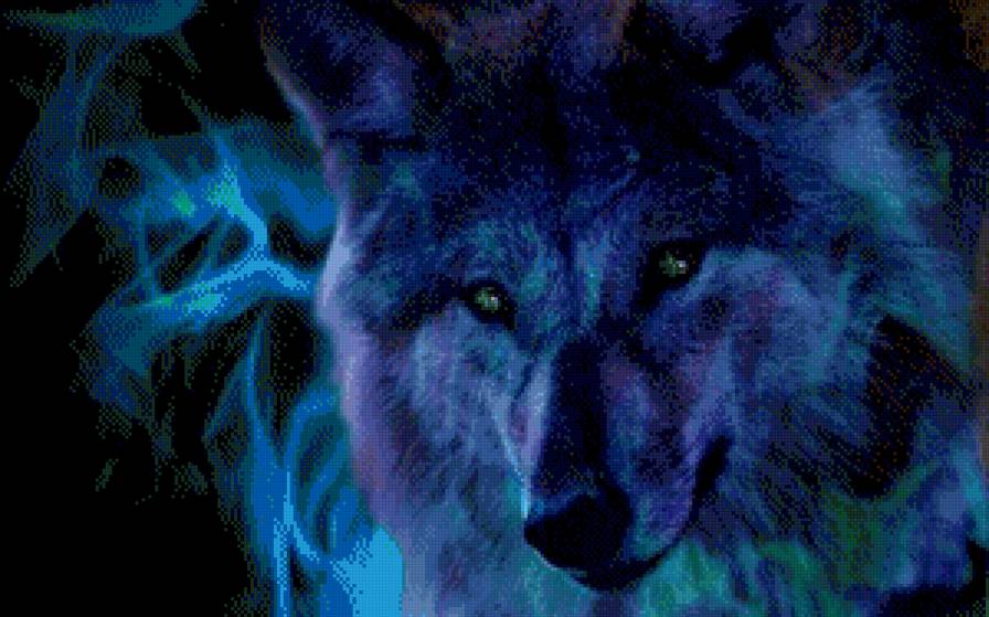 Волк - живитные, волк - предпросмотр