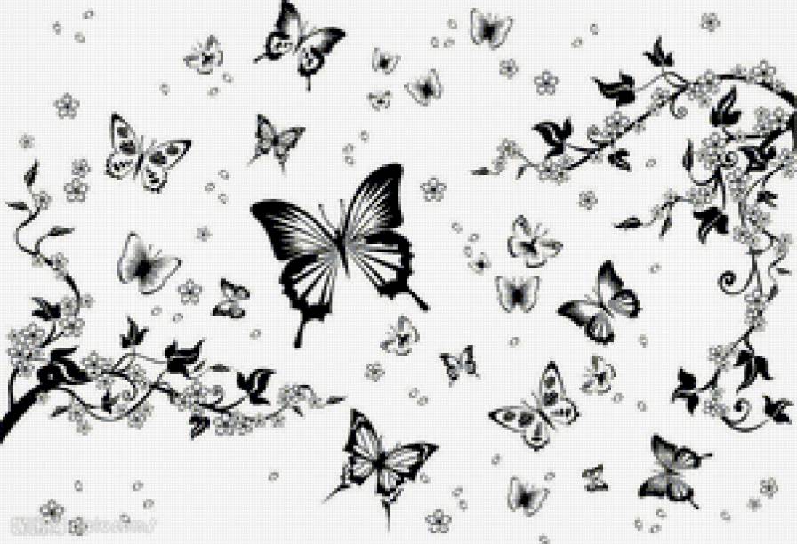 Бабочки - бабочки - предпросмотр