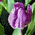 Предпросмотр схемы вышивки «тюльпаны» (№850265)