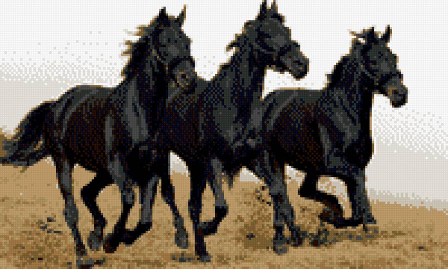 Кони - кони, черные вороные - предпросмотр