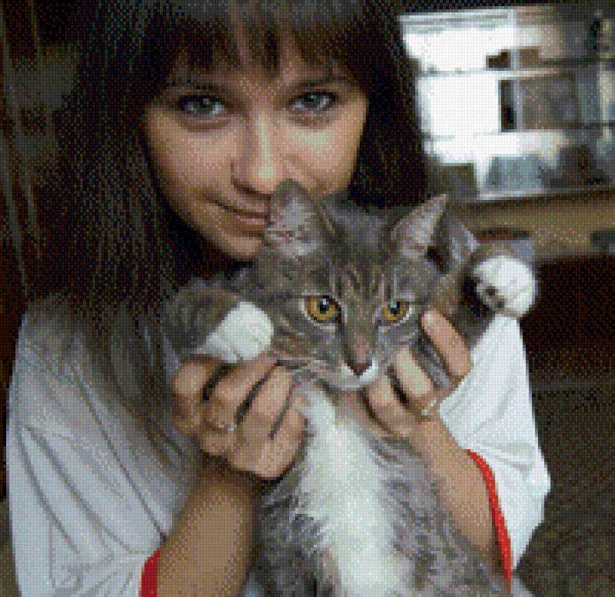 Xxx - предпросмотр