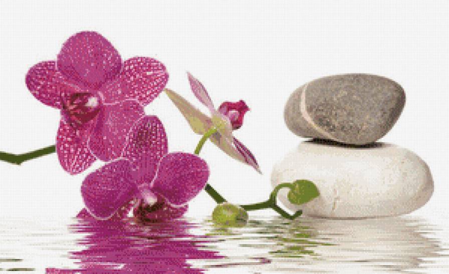 №850366 - предпросмотр