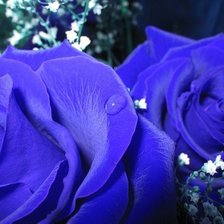 Схема вышивки «розы»