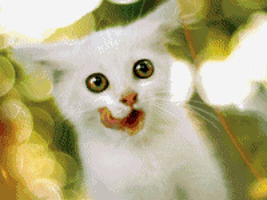 котя - кошка, животные - предпросмотр