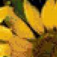 Предпросмотр схемы вышивки «подсолнухи» (№851537)