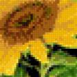 Предпросмотр схемы вышивки «подсолнухи» (№851538)