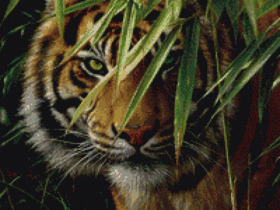 Тигр в зарослях 40 цветов - тигр, животные - предпросмотр