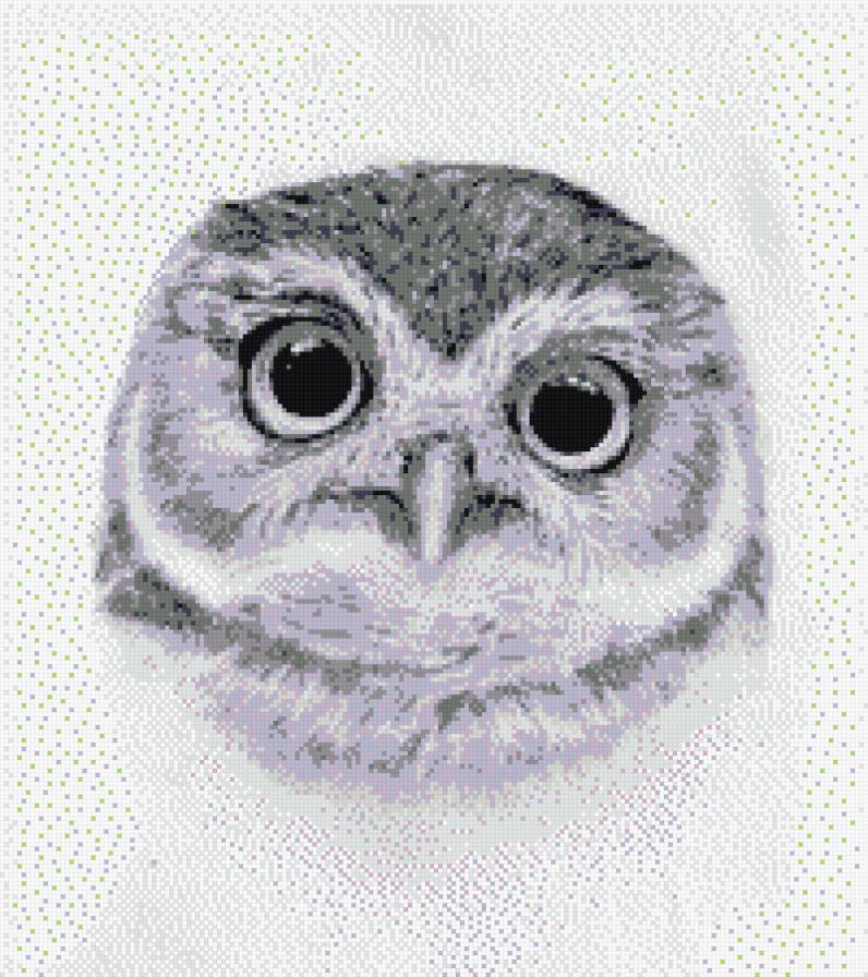 Совенок - предпросмотр
