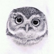 Схема вышивки «Совенок»