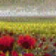 Предпросмотр схемы вышивки «Те же маки, но в ПНК» (№851643)