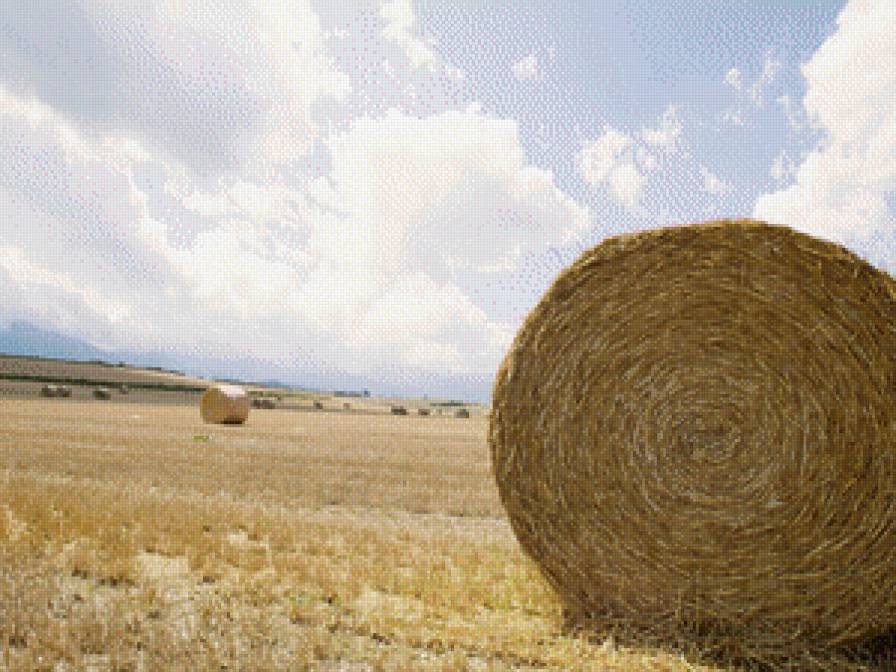 валы сена - лето, осень, поле, природа - предпросмотр