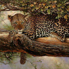 Схема вышивки «Леопард»