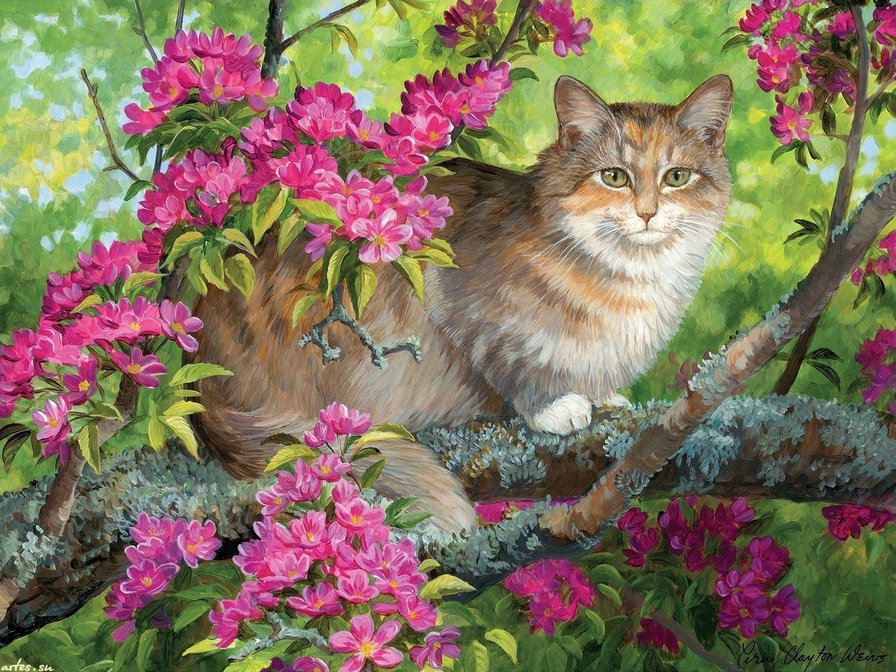 на яблоне - картина, животные, яблоня, весна, кошка, кот, цвет - оригинал