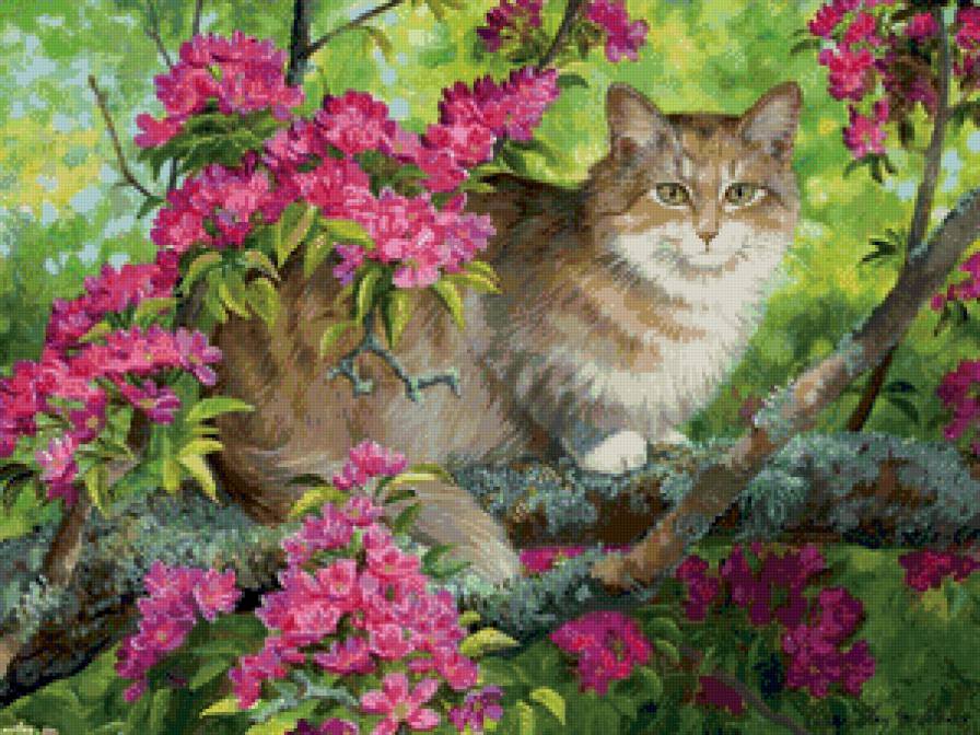 на яблоне - картина, цвет, кот, яблоня, весна, кошка, животные - предпросмотр