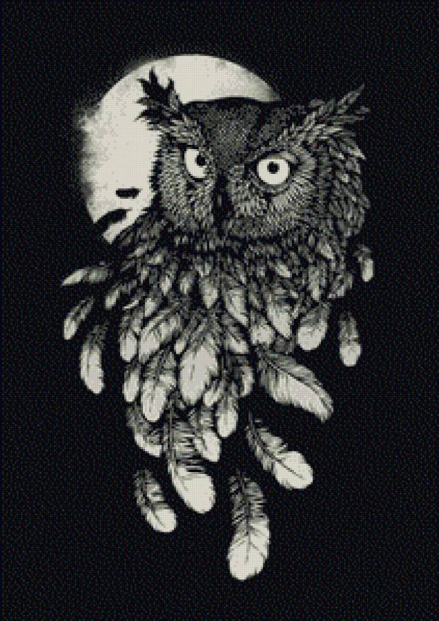 сова - ночь, птицы - предпросмотр