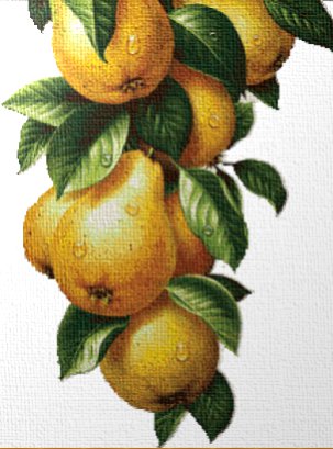 груши - оригинал