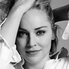 Схема вышивки «шерон стоун»