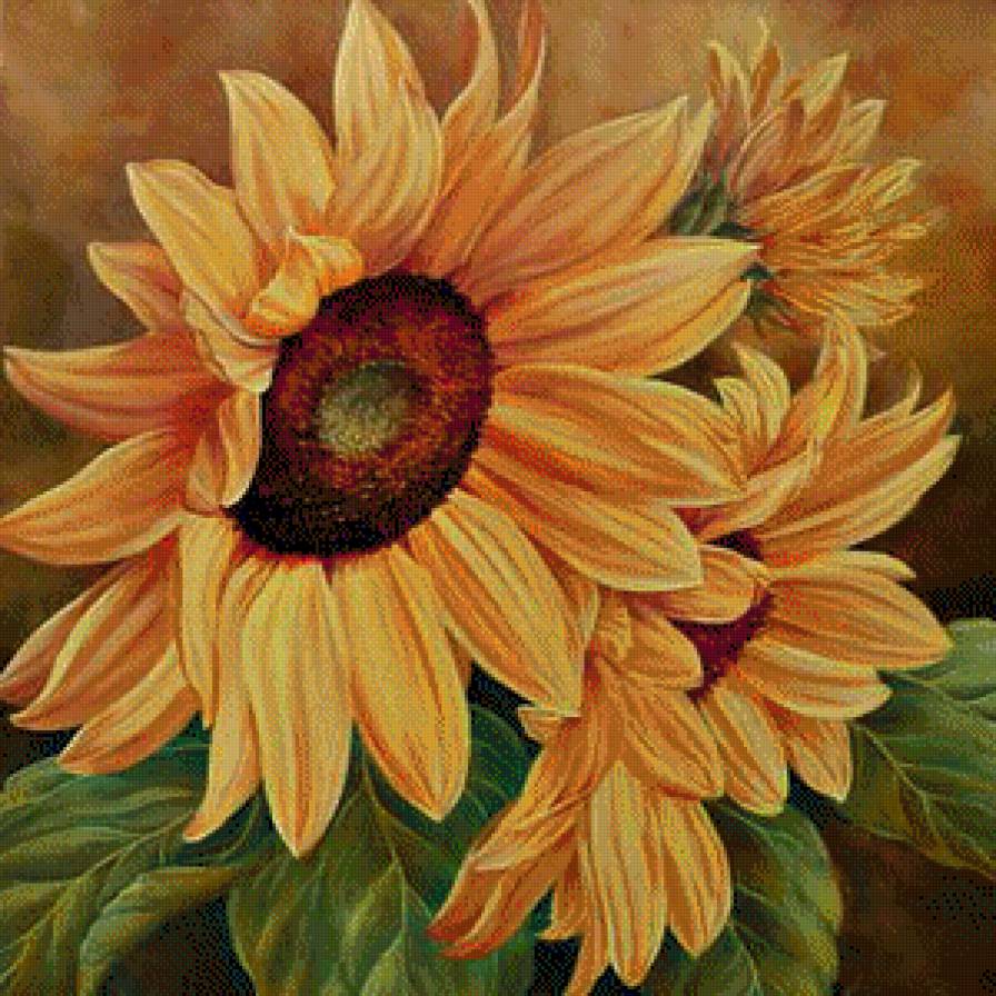 Sunflower 300 - предпросмотр