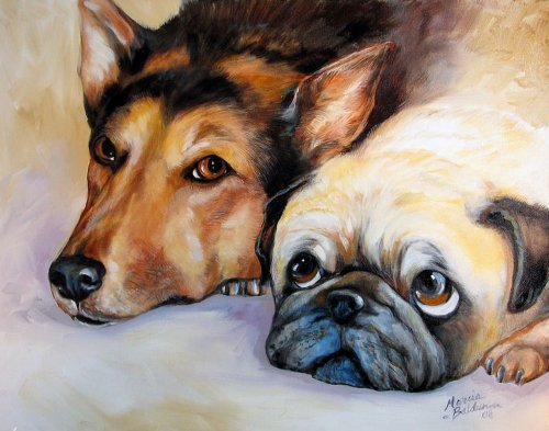 мопс и овчарка - собаки, друзья, мопс - оригинал