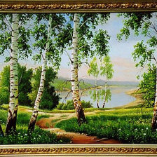 березы, лето, пейзаж