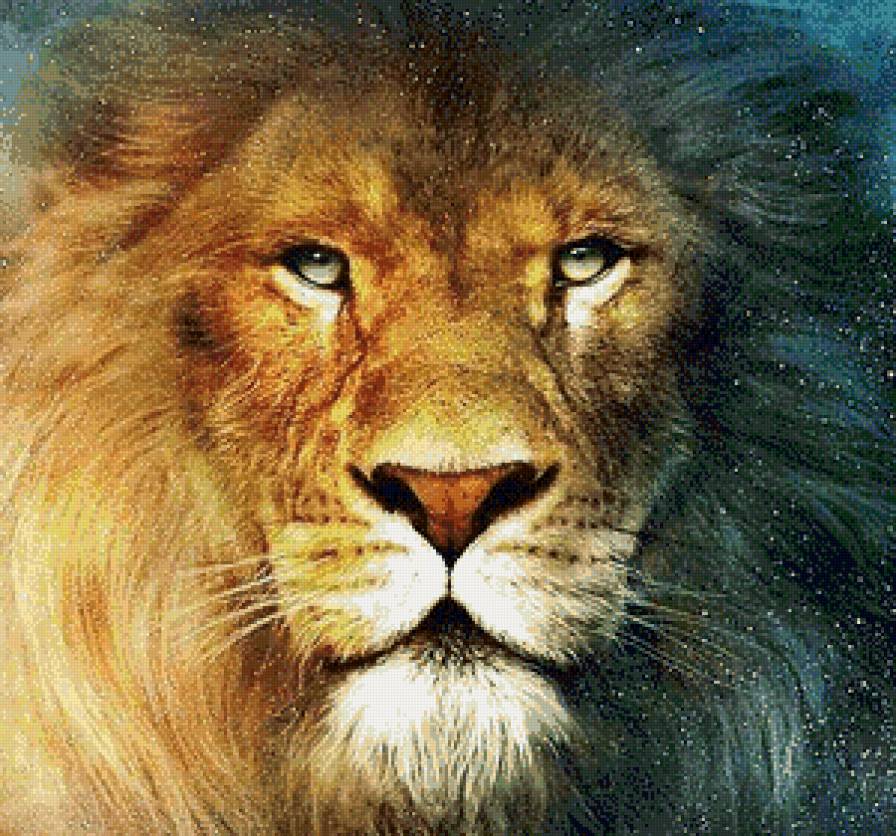 Лев - морда, сафари, хищник, царь зверей, животное - предпросмотр
