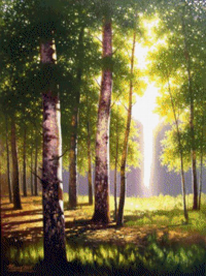 березовое утро - березы, рассвет - предпросмотр