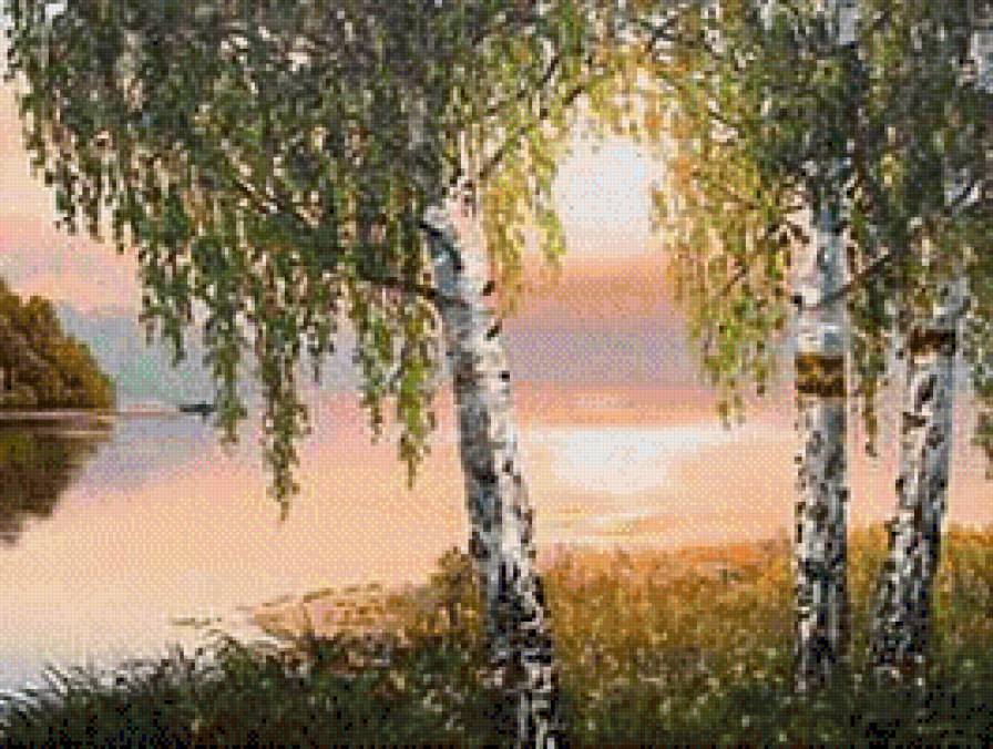 березовый закат - закат, река, березы - предпросмотр