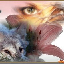 Девушка с волком