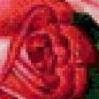 Предпросмотр схемы вышивки «Розы» (№852927)