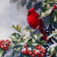 Схема вышивки «красная птица»