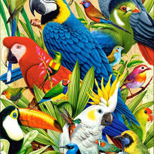 Схема вышивки «pappagalli»