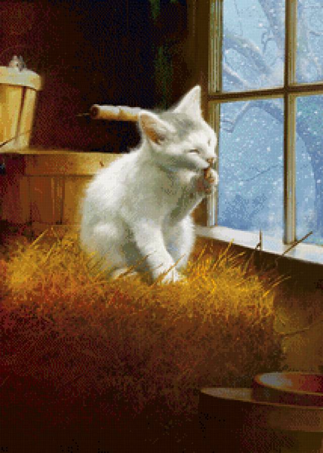 №853028 - котенок, окно, зима, мышка - предпросмотр