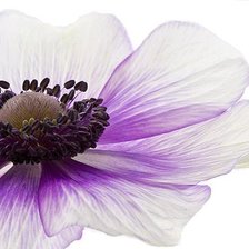 Схема вышивки «22»