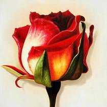 Схема вышивки «роза»