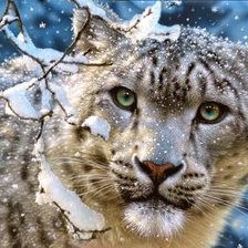 Схема вышивки «леопард»