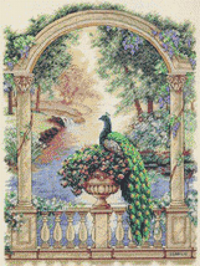 Величественный павлин - павлин - предпросмотр