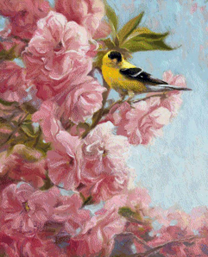 №853285 - предпросмотр