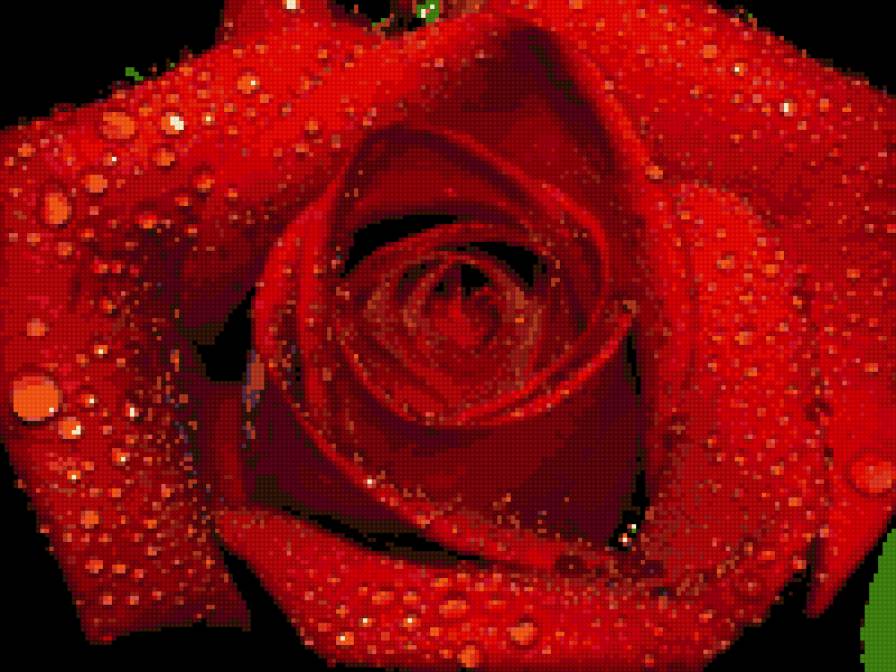 рррррррррррррррррррррр - предпросмотр