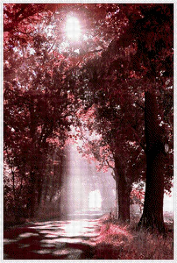 лучик солнца - деревья, осень, природа - предпросмотр