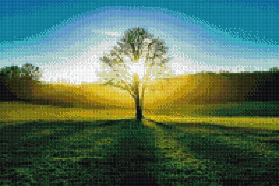 На свет - природа - предпросмотр