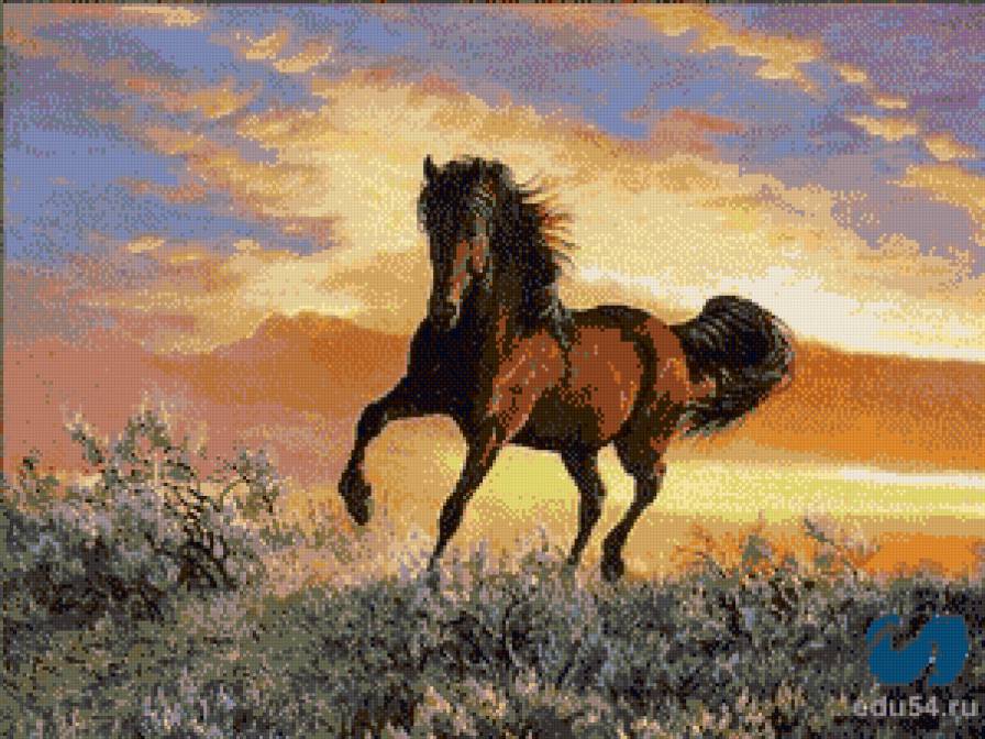 ЛОЩАДЬ - скакун, лошадь - предпросмотр