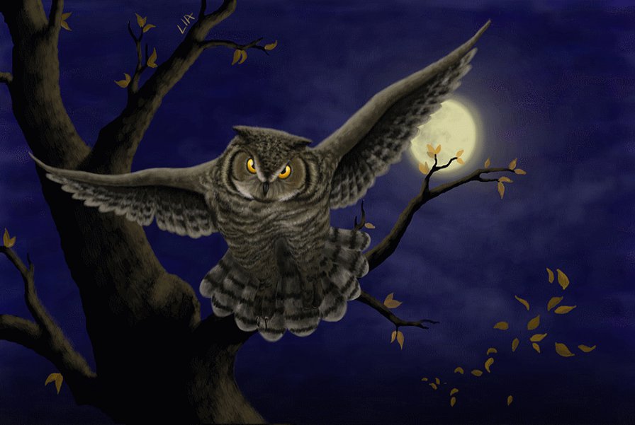 ночь - природа, сова - оригинал
