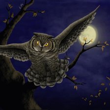 Схема вышивки «ночь»