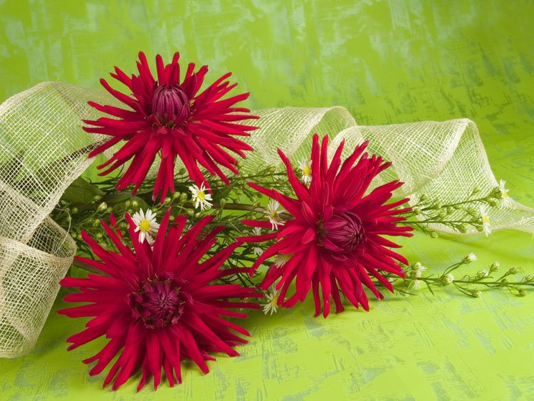 цветы - оригинал