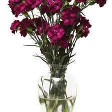 Схема вышивки «цветы»