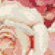 Предпросмотр схемы вышивки «№854064»