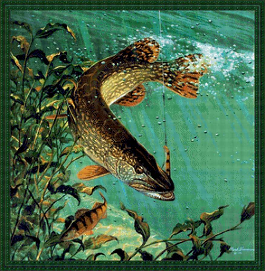 Щука - рыбалка, рыба, вода - предпросмотр